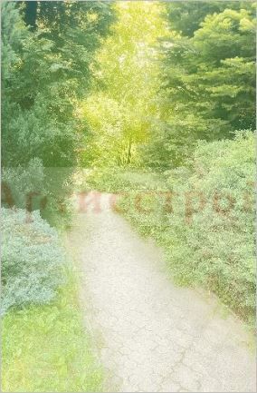 Снимка 319402623