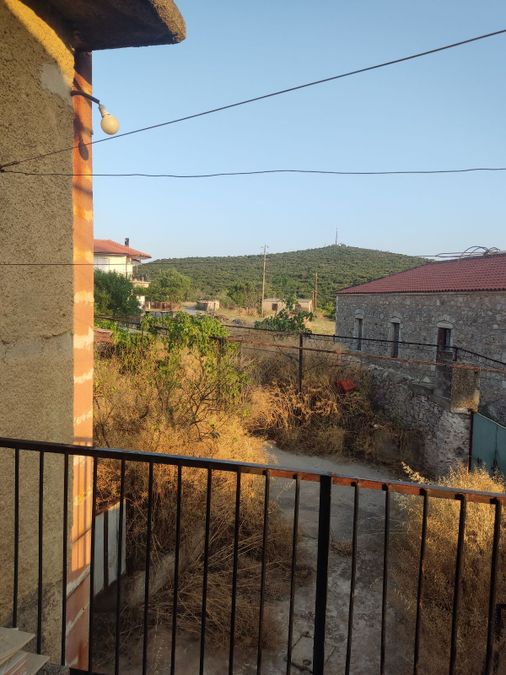 Photo 320198484