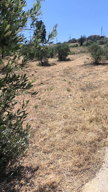 Photo 320321301