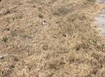 Photo 320321304