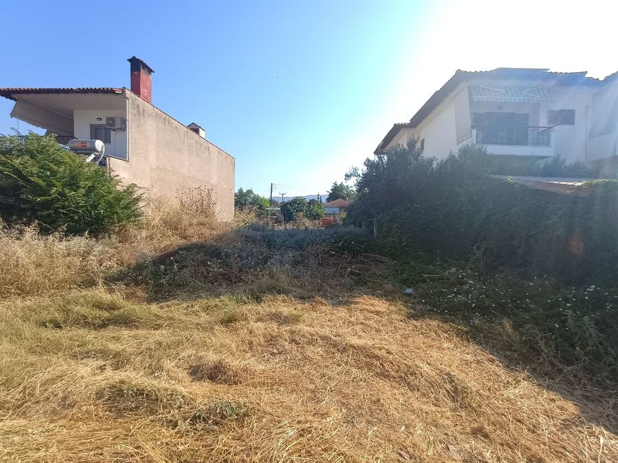Photo 320409168
