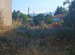 Photo 320409234