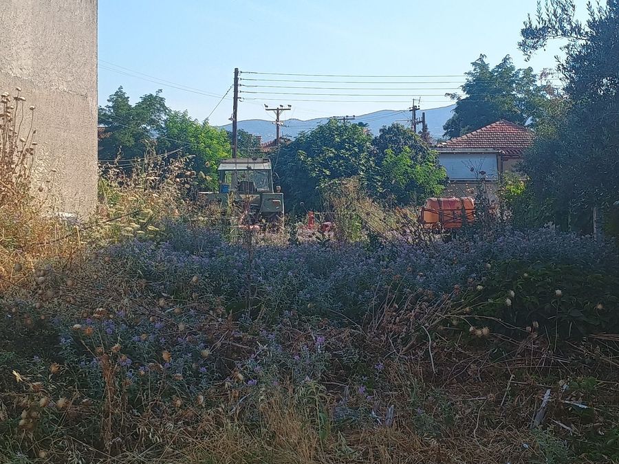 Photo 320409234