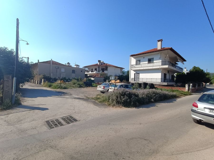 Photo 320409348