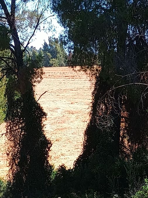 Photo 320674290