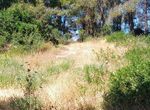 Photo 320674302