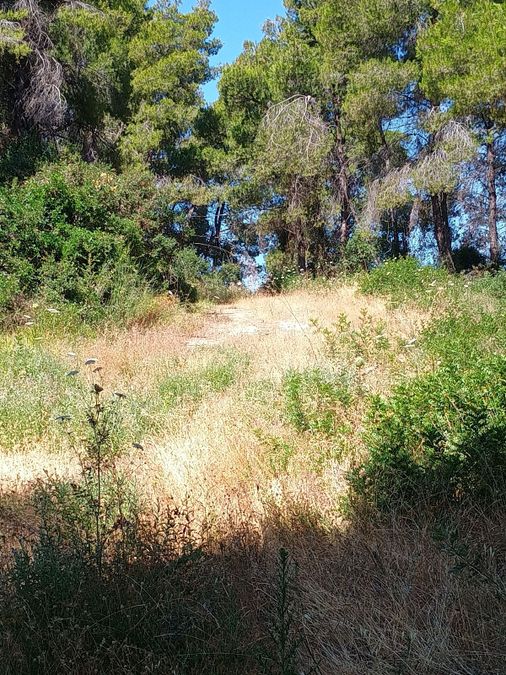 Photo 320674302
