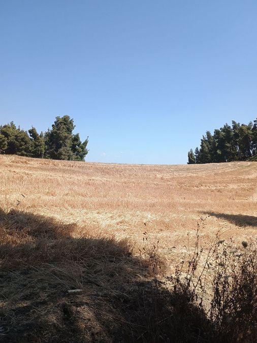 Photo 320674335