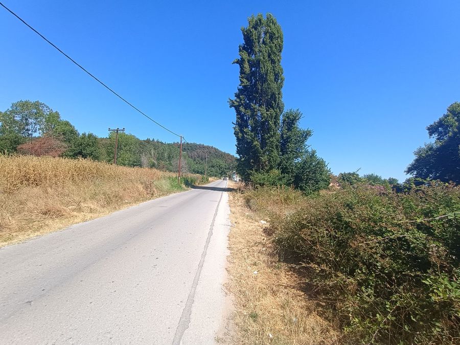 Photo 320790396