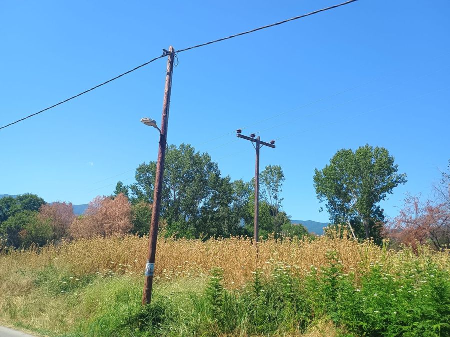 Photo 320790759