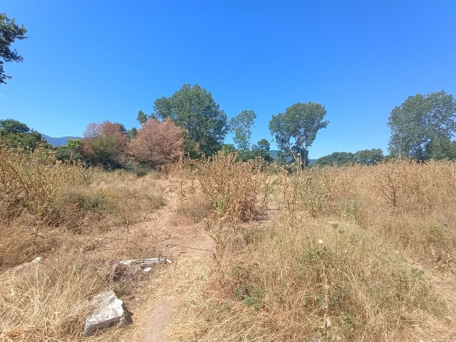 Photo 320792052