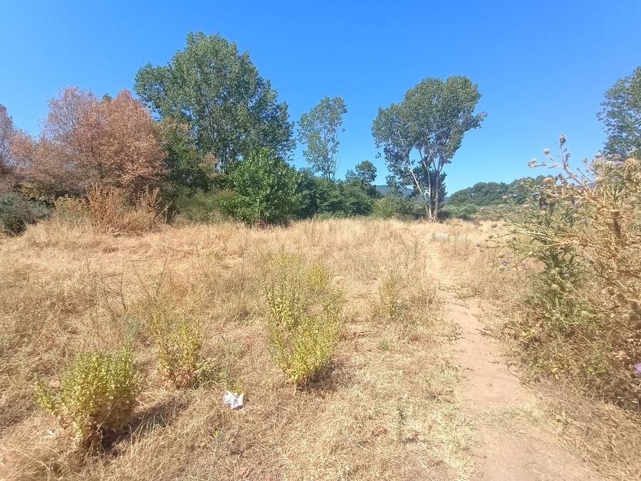 Photo 320792112