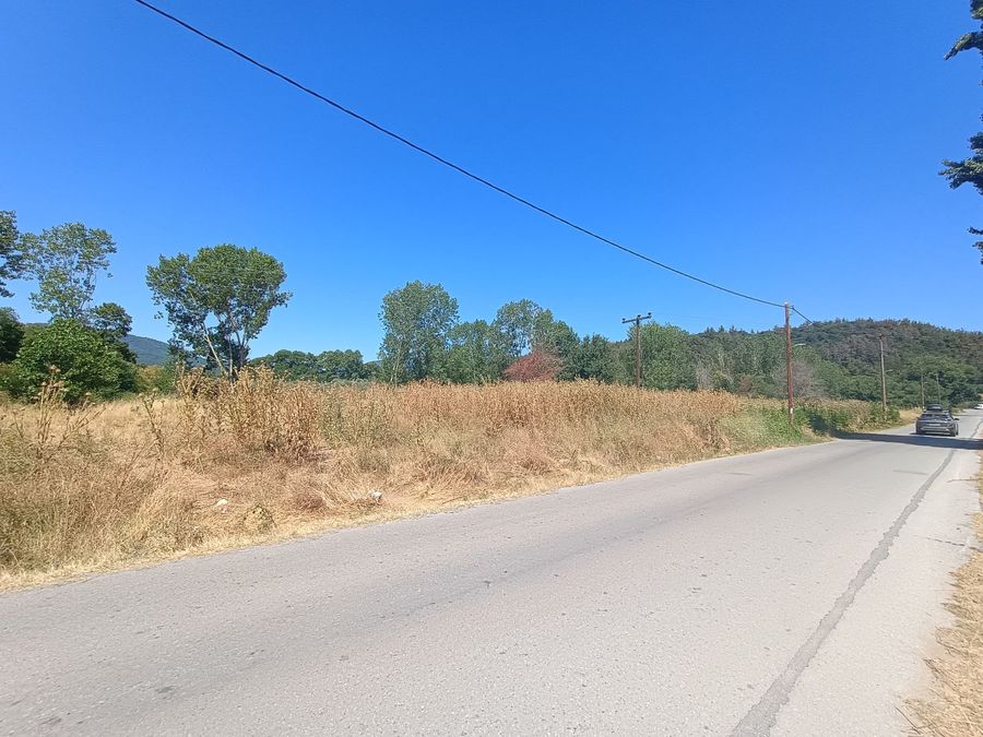 Photo 320792505