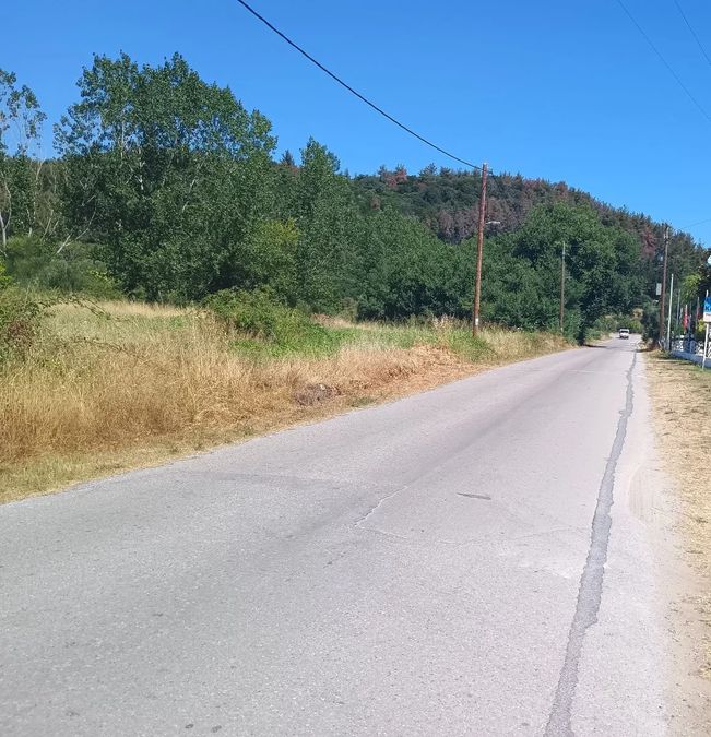 Photo 320793561