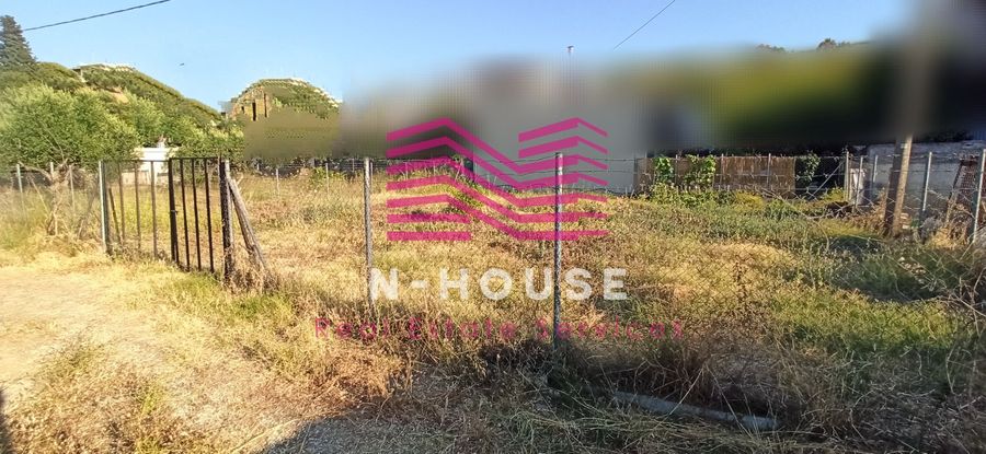 Photo 320978739