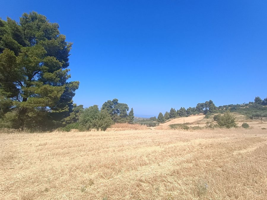 Photo 321291069