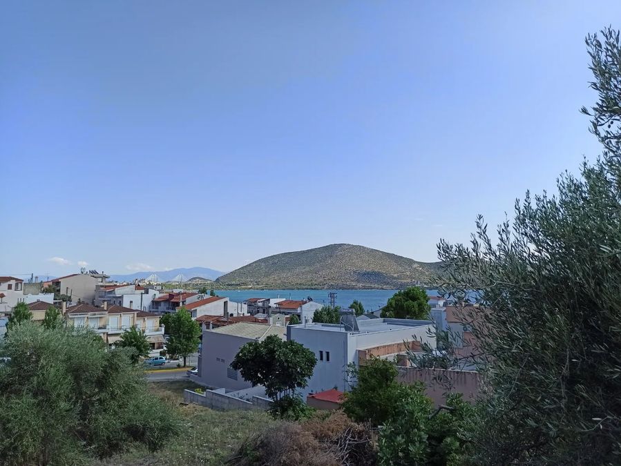 Photo 321393486