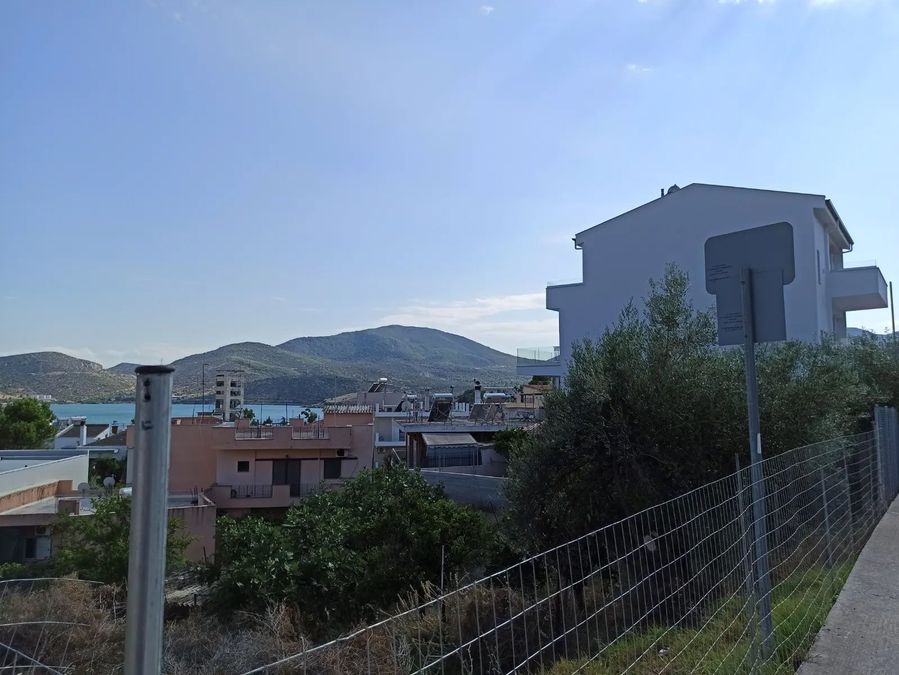 Photo 321393495