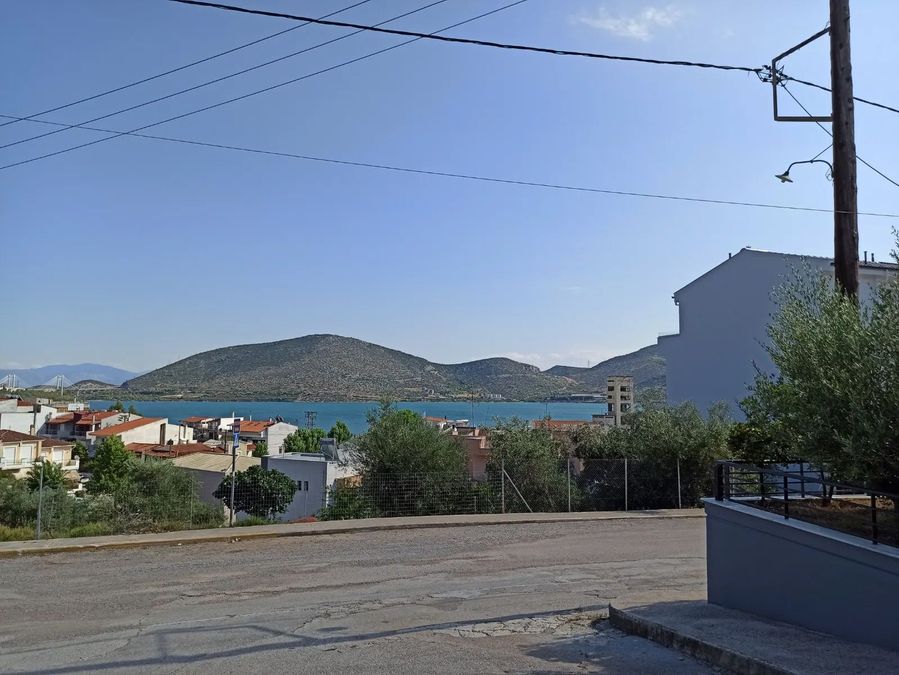 Photo 321393498