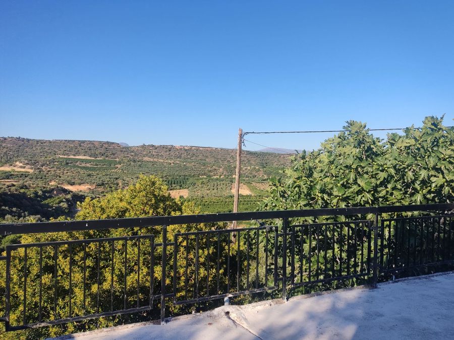 Photo 321610593