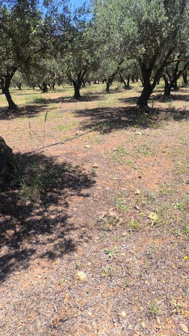 Photo 321876021