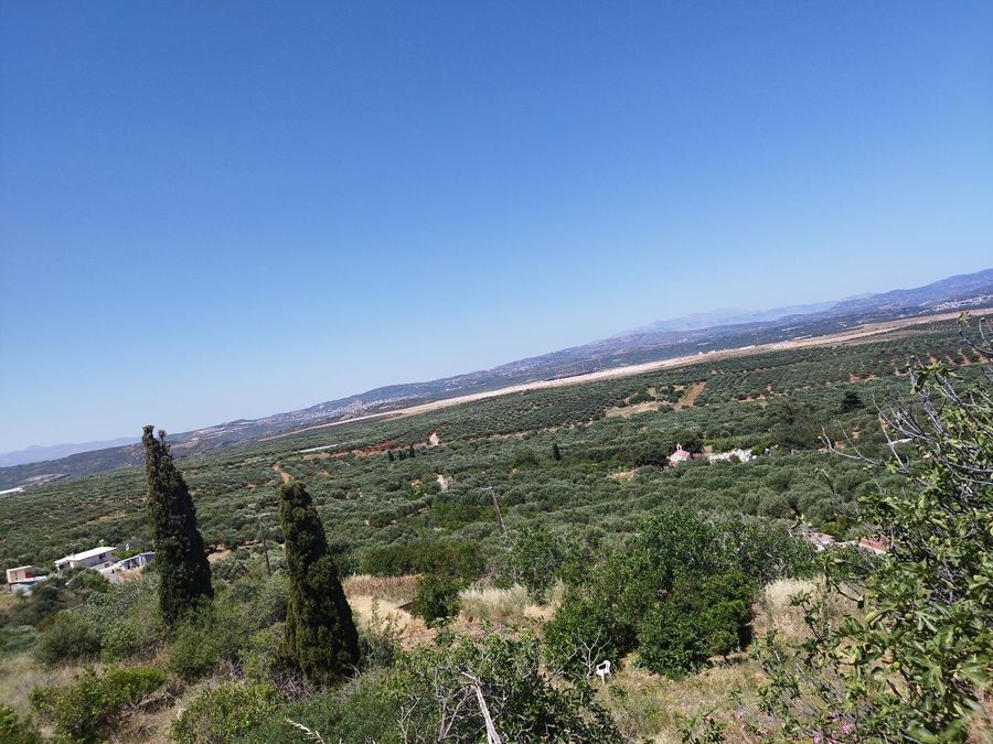 Photo 321877377