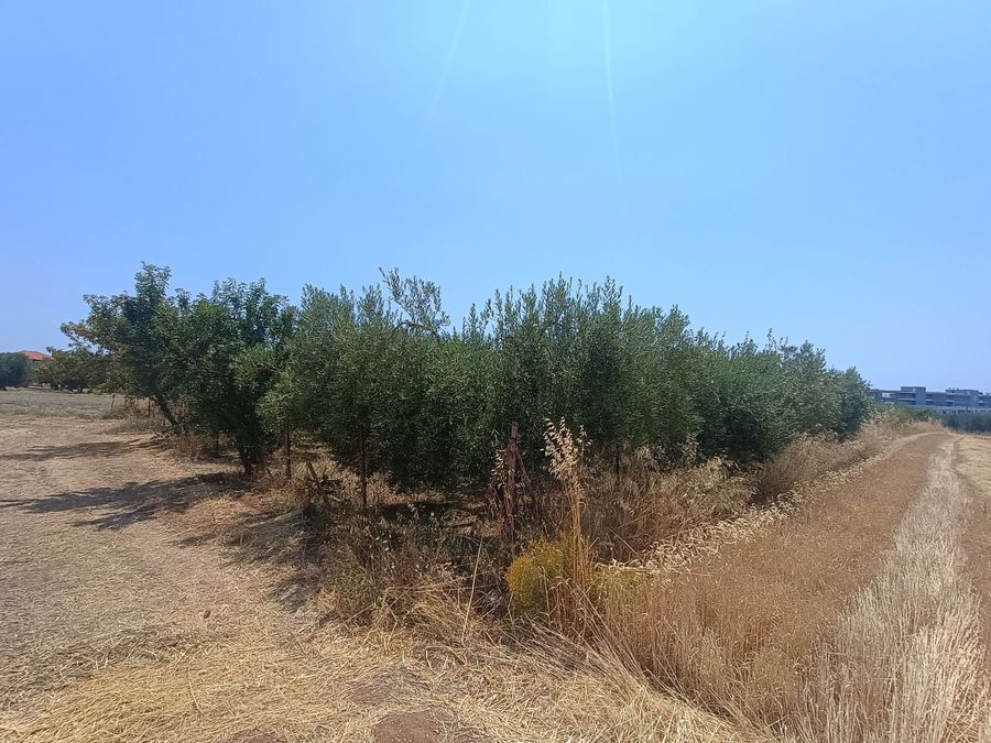 Photo 321900561