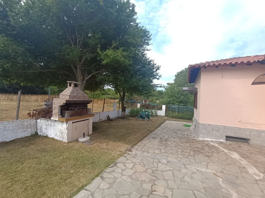 Photo 322302969