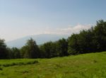 Photo 322354707