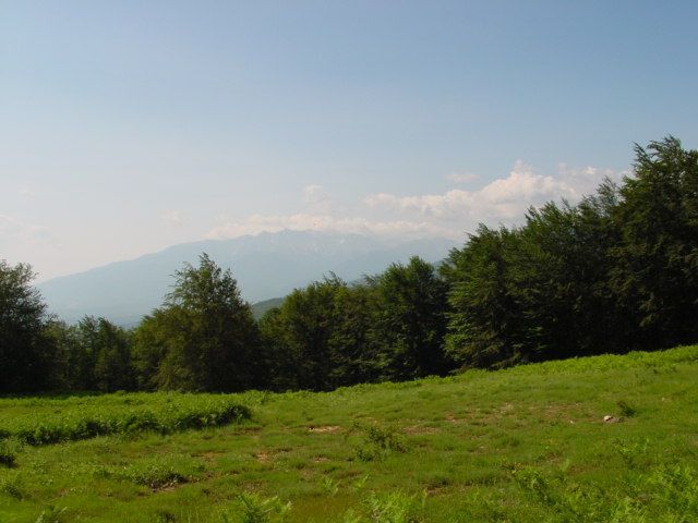 Photo 322354707