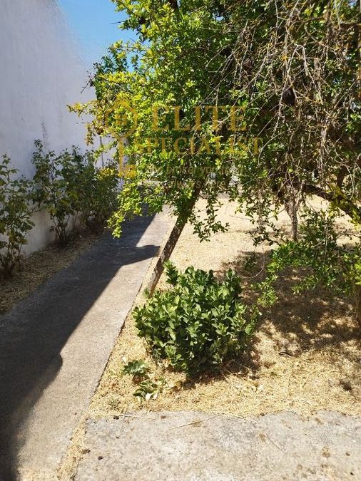 Photo 322445823