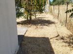 Photo 322445826