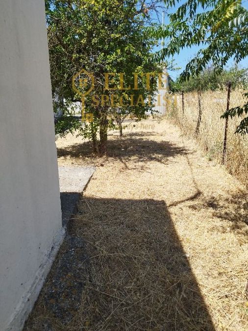 Photo 322445826