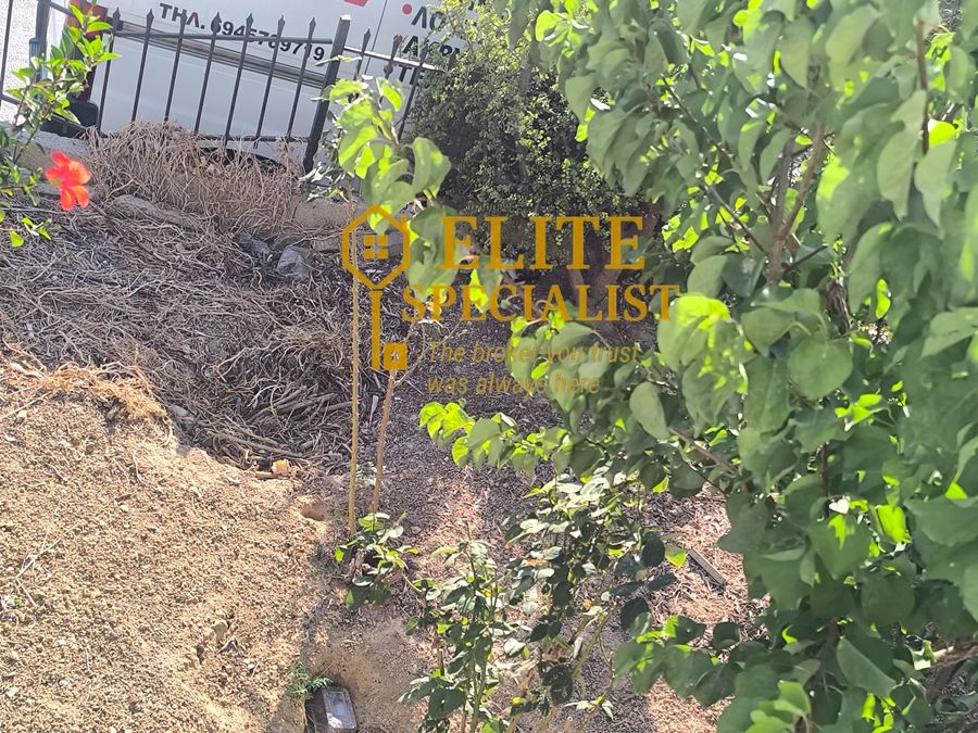 Photo 322455630