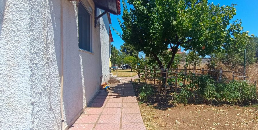 Photo 322584681