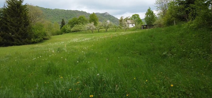 Land Plots, Drijenak, Kolašin 6