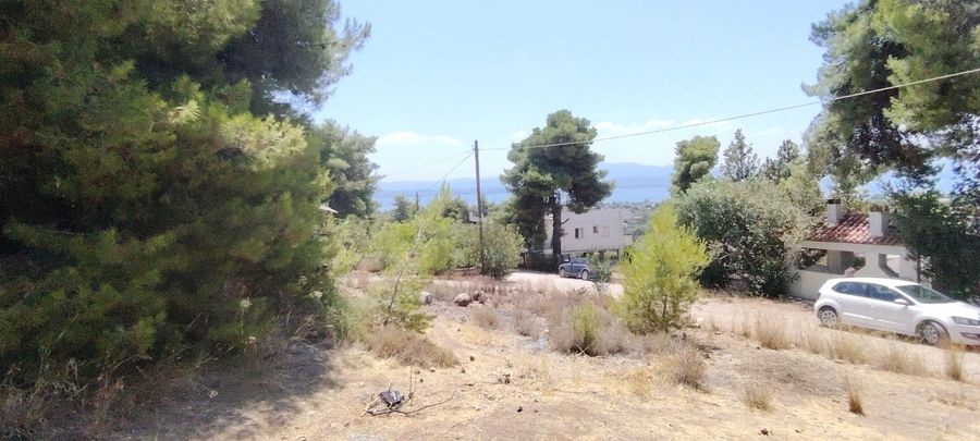 Photo 322962432
