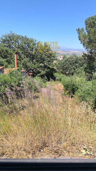 Photo 323088153