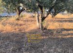 Photo 323091513