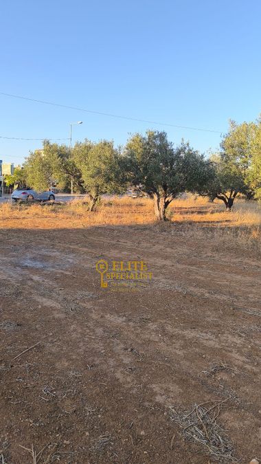 Photo 323091543