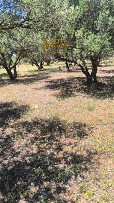 Photo 323381706