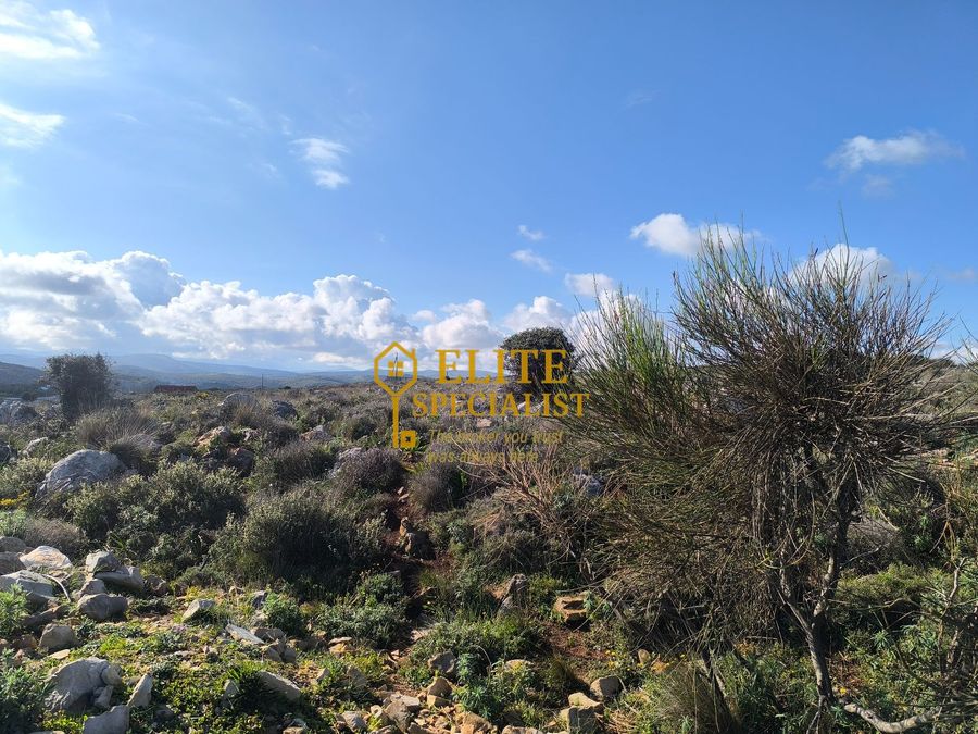 Photo 323412417