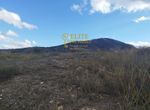 Photo 323432844