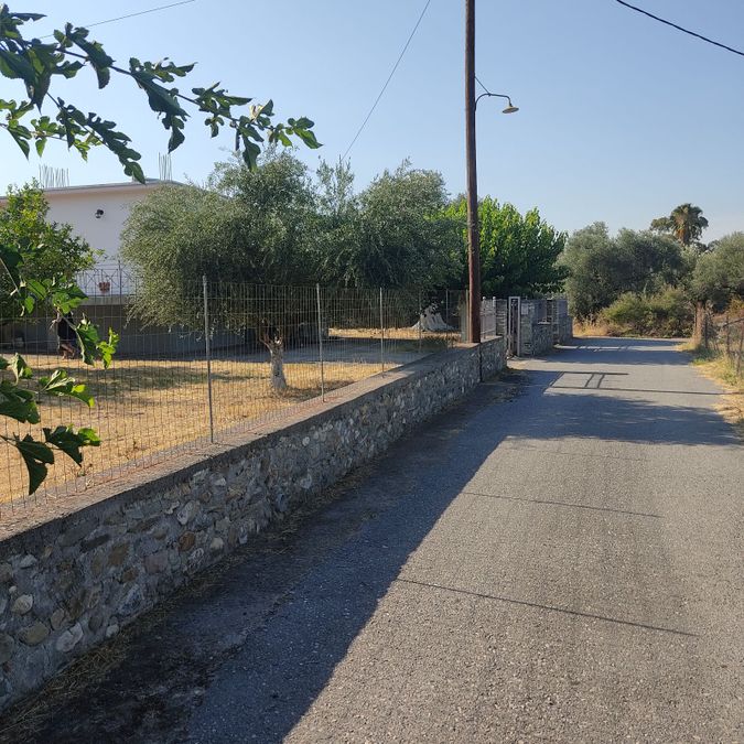 Photo 323758476