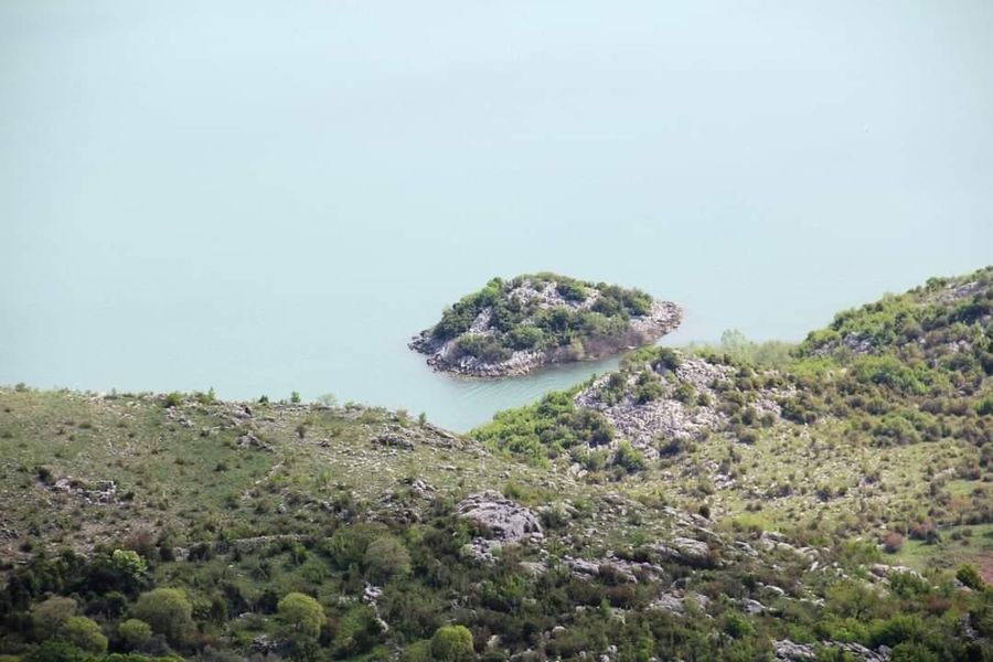 Fotografija 324040092