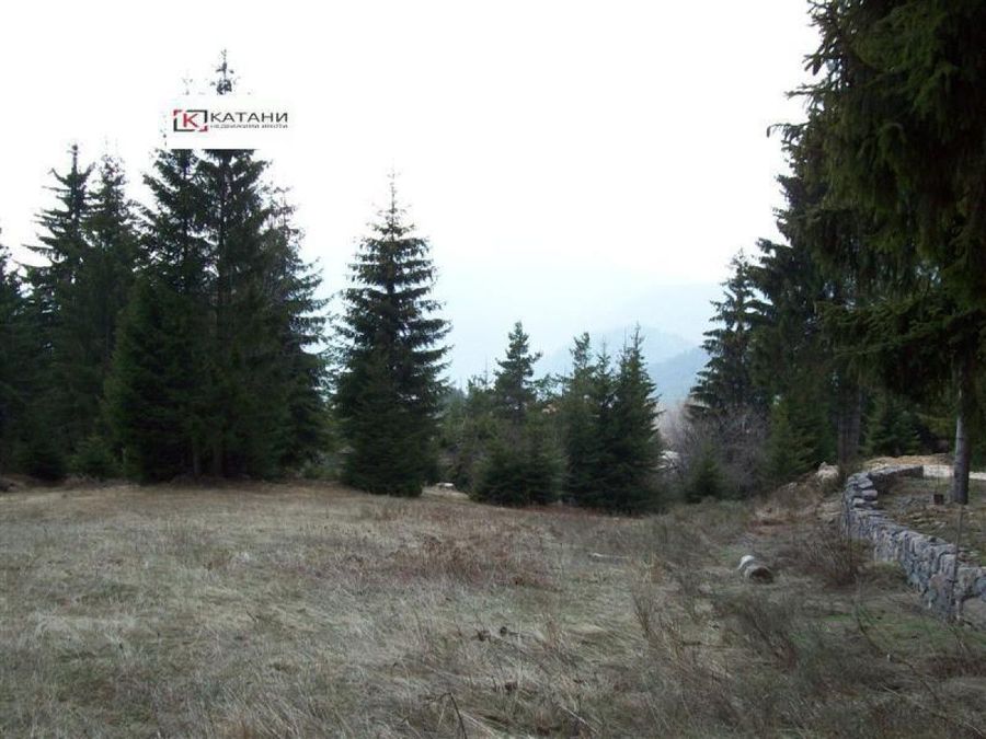 Снимка 324360477