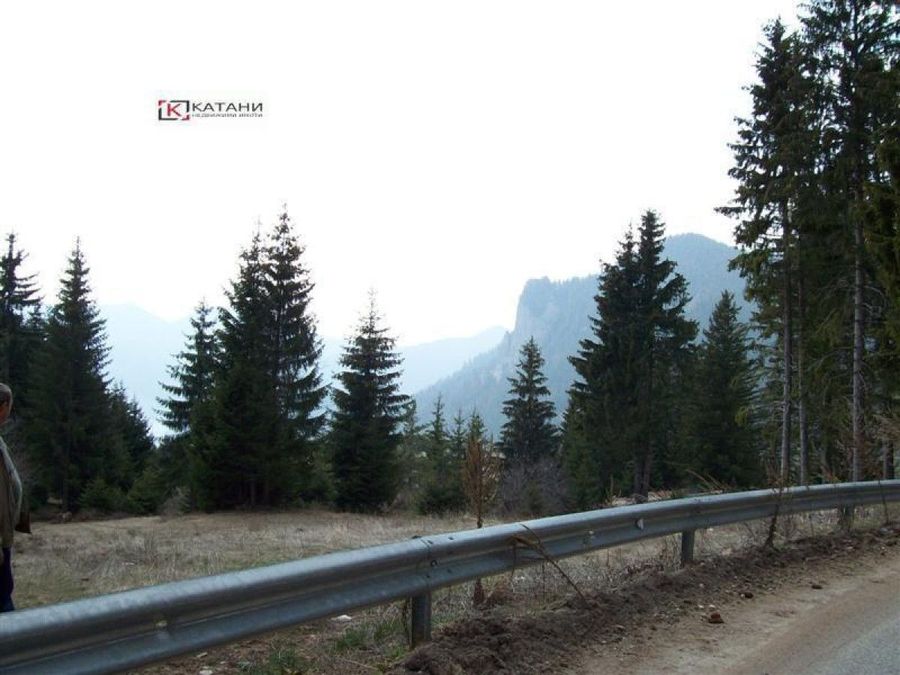 Снимка 324360483