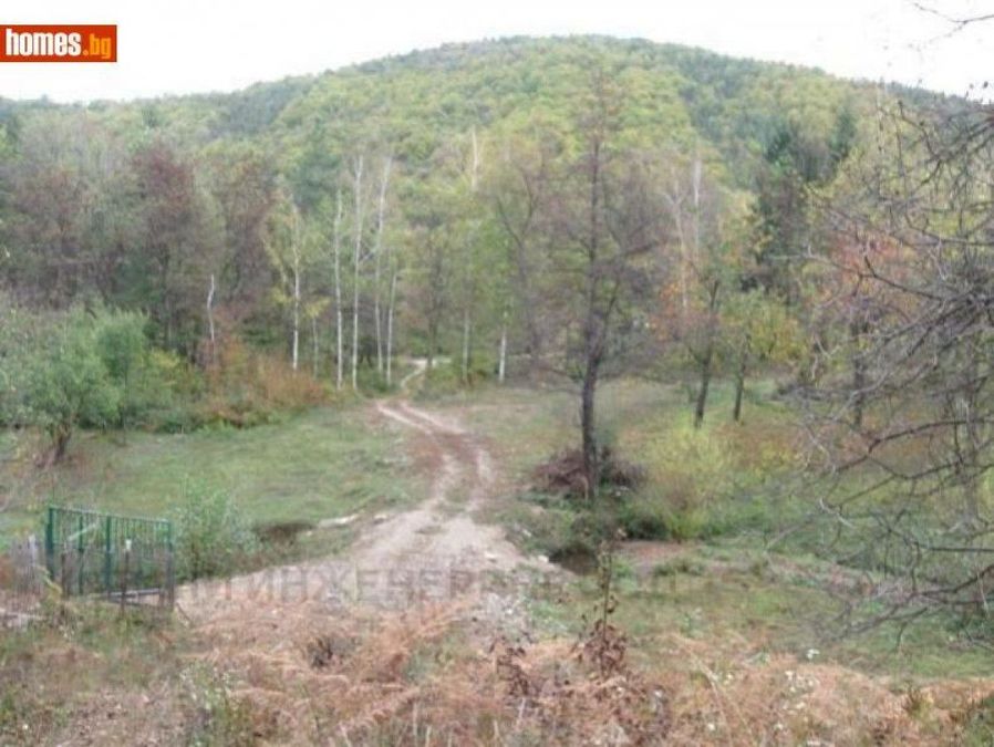 Снимка 324360501