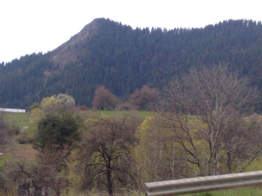 Снимка 324360531