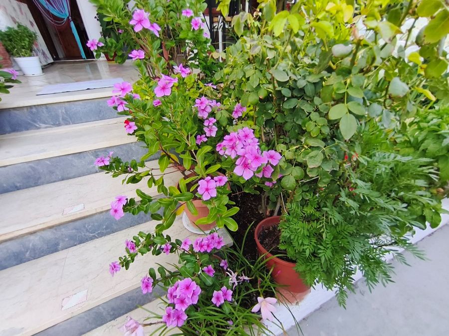 Photo 324448962